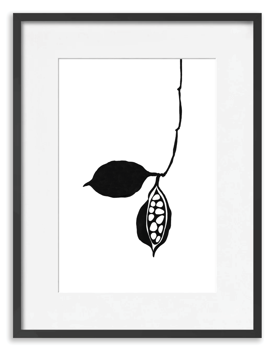 Seedpod