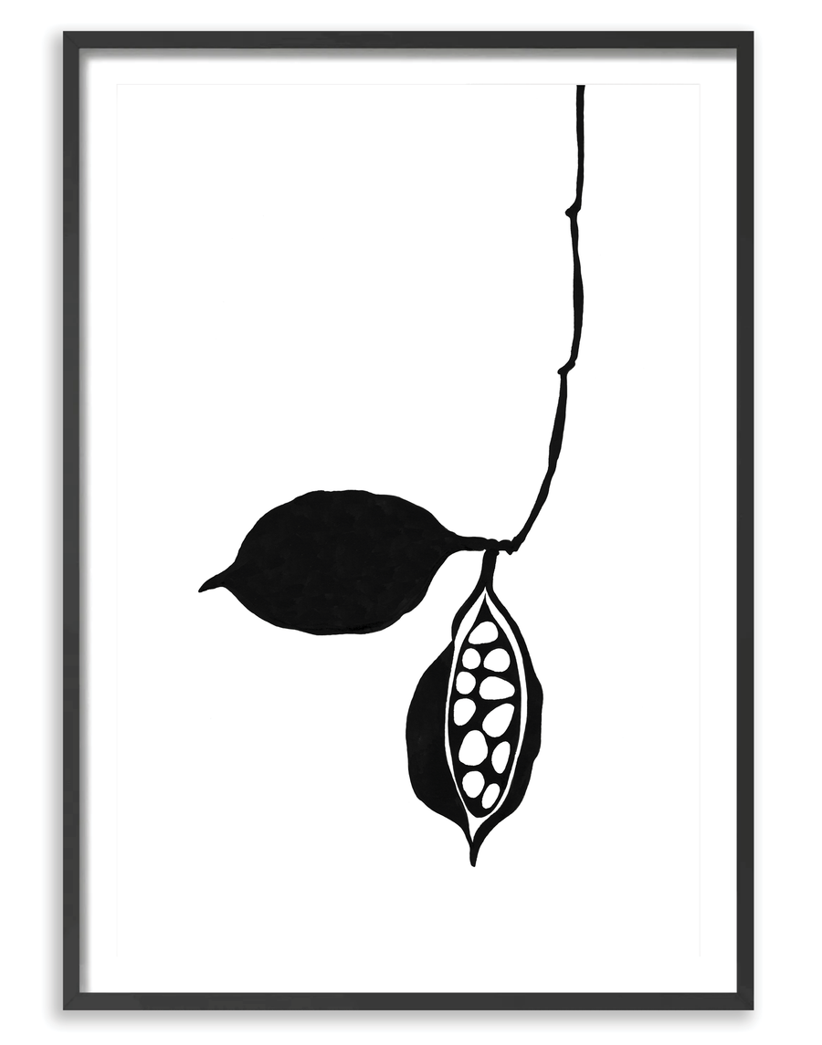 Seedpod
