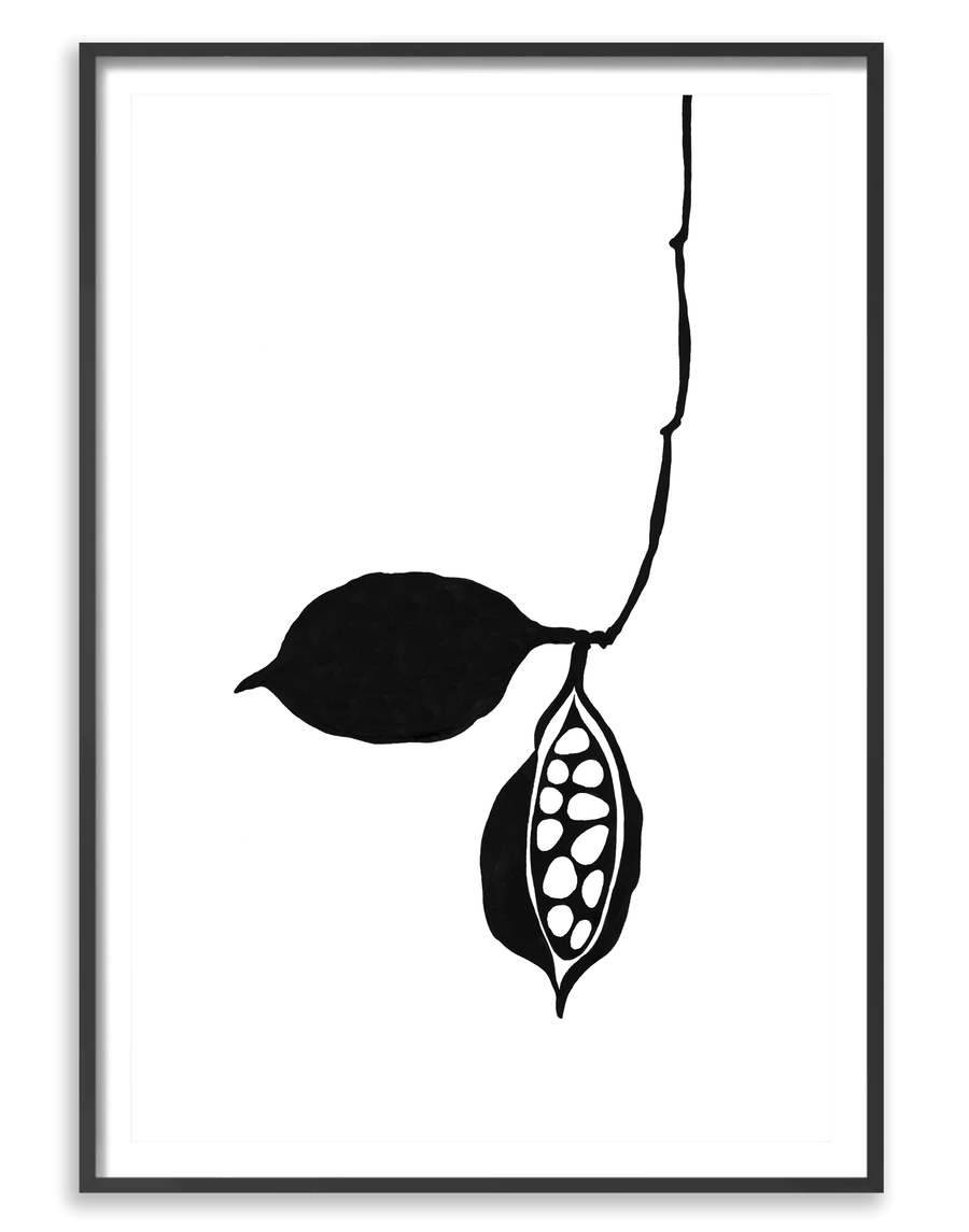 Seedpod