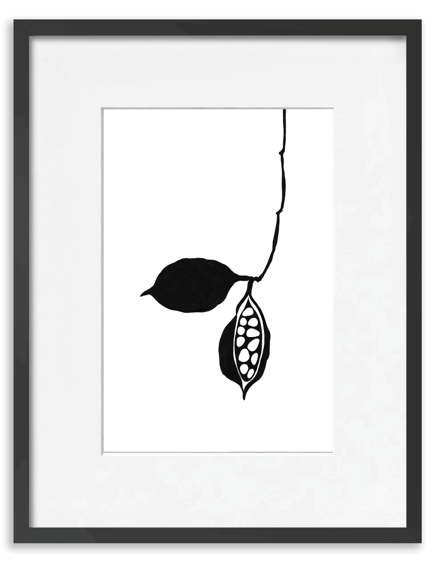 Seedpod
