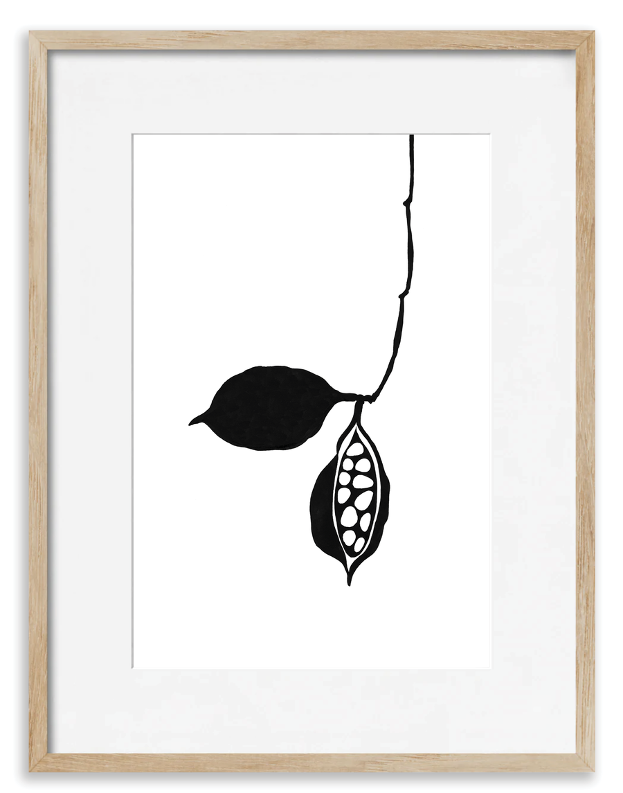 Seedpod