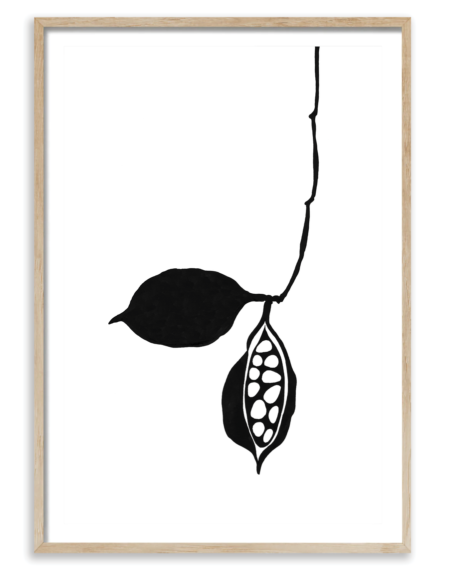 Seedpod