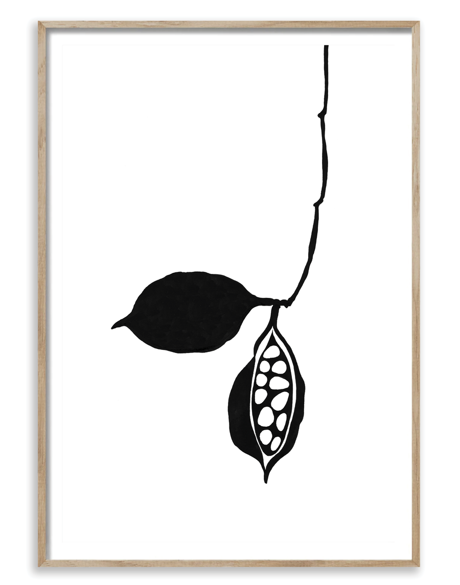 Seedpod
