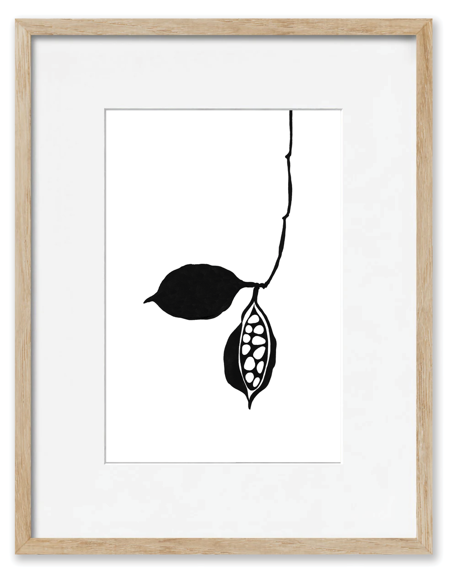 Seedpod