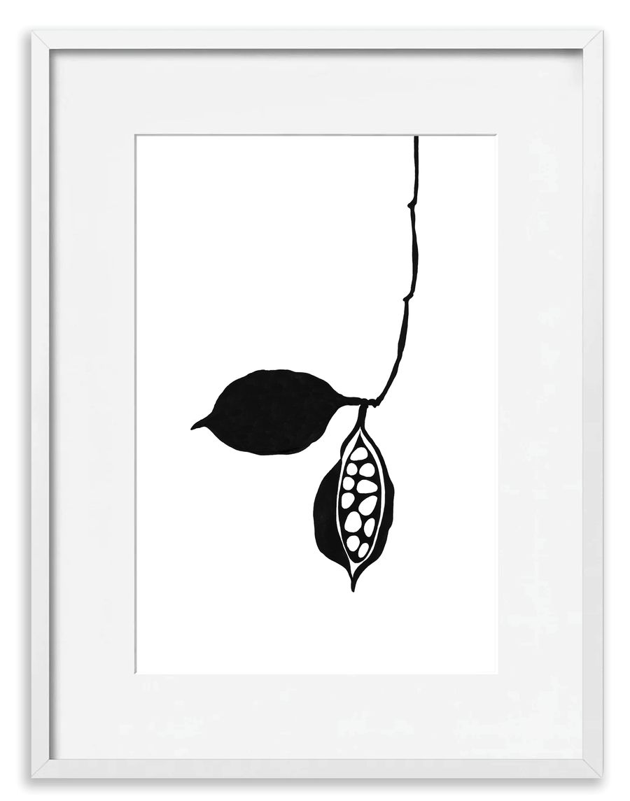 Seedpod