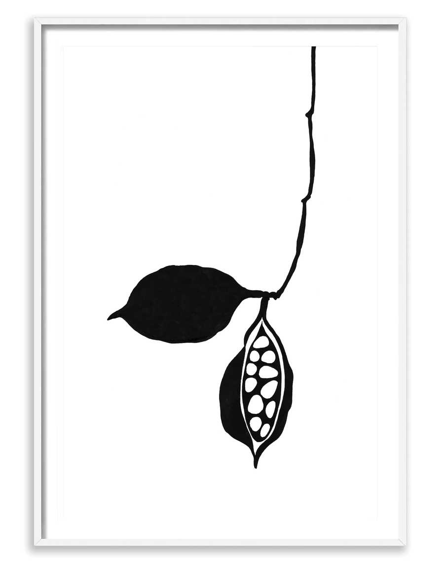 Seedpod