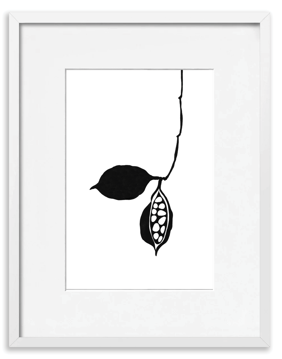 Seedpod