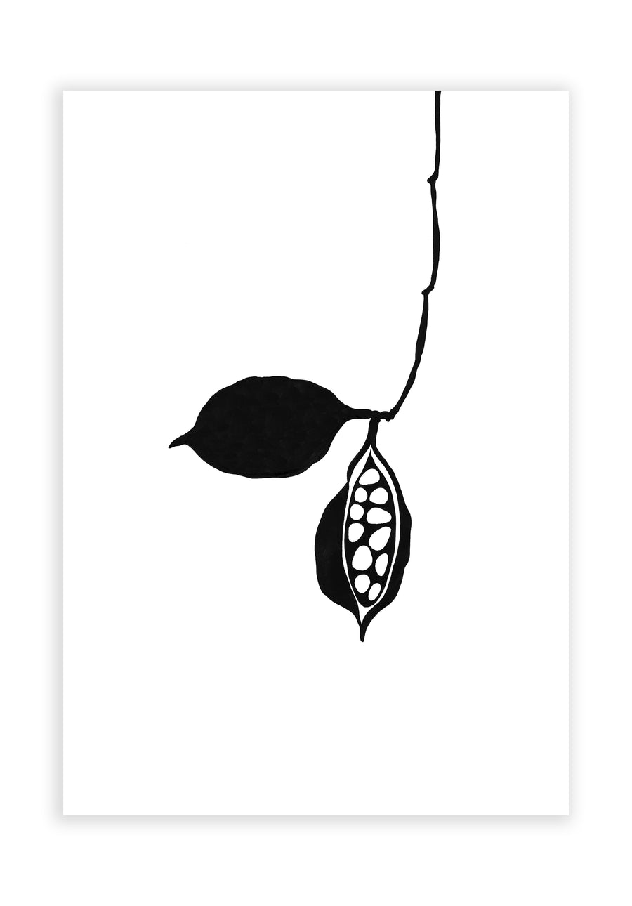 Seedpod