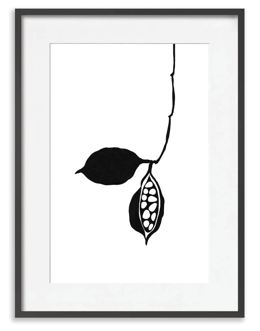 Seedpod