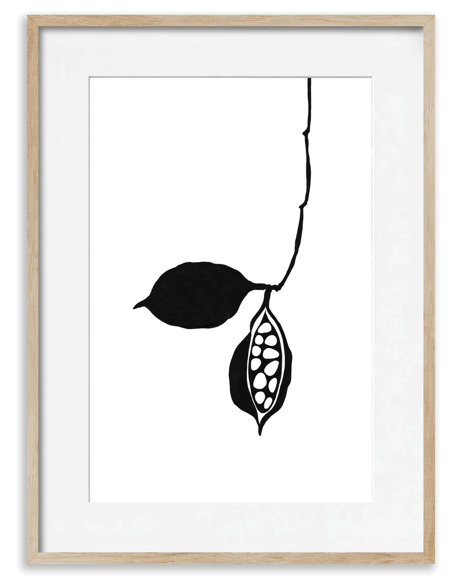 Seedpod