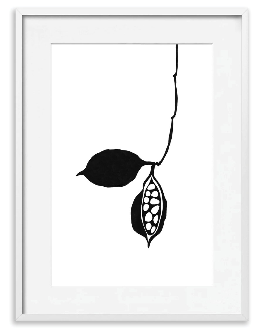 Seedpod