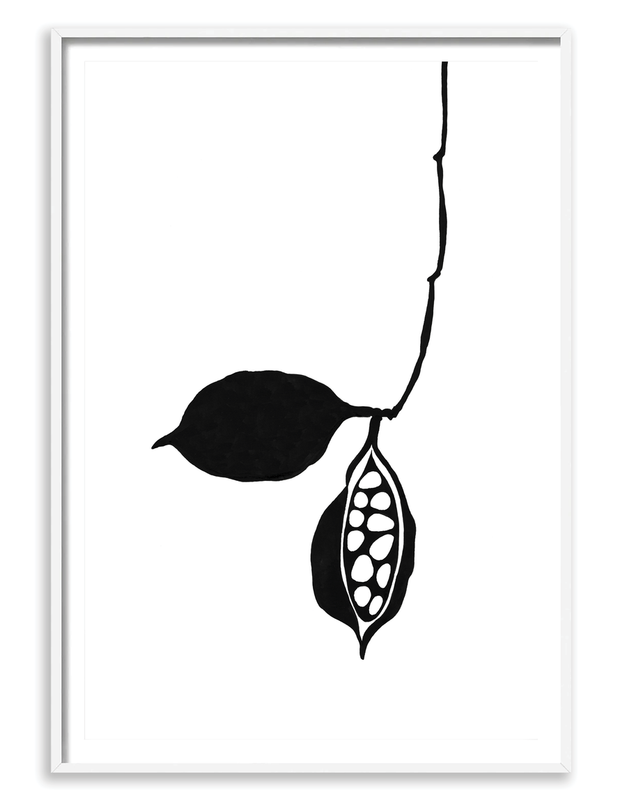 Seedpod