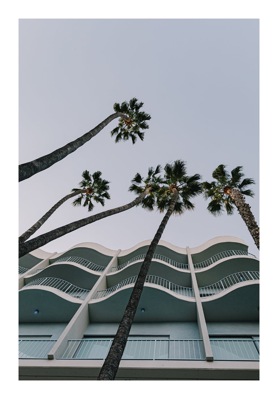 LA Palms