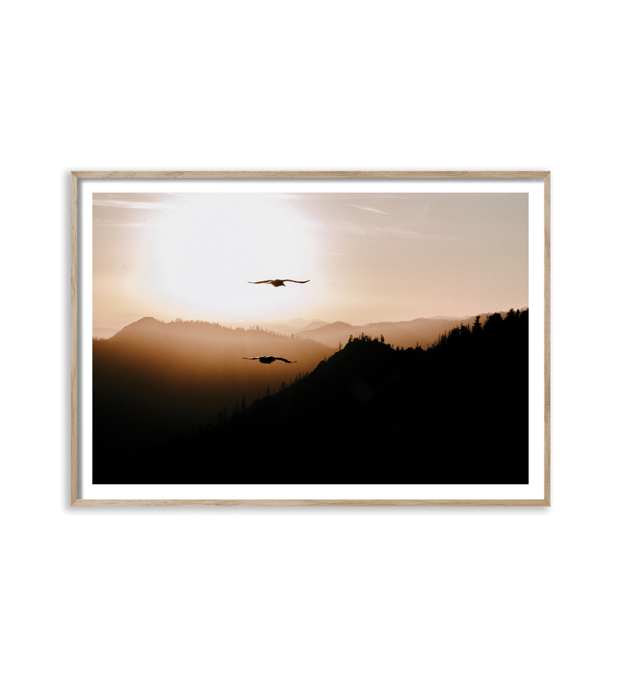 Sequoia 2