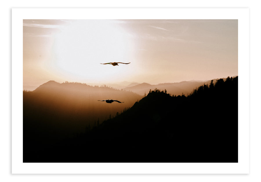 Sequoia 2