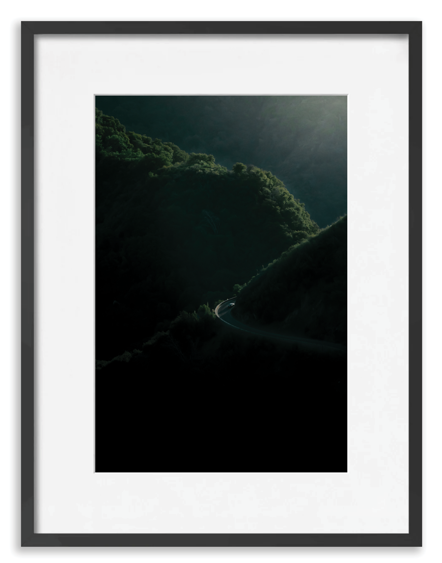 Sequoia 1