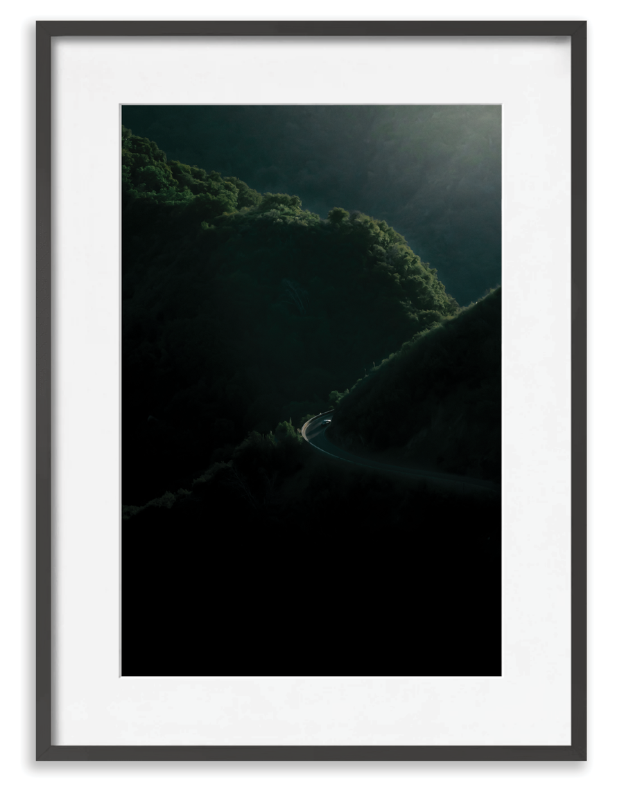 Sequoia 1