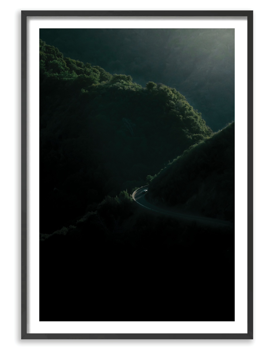 Sequoia 1