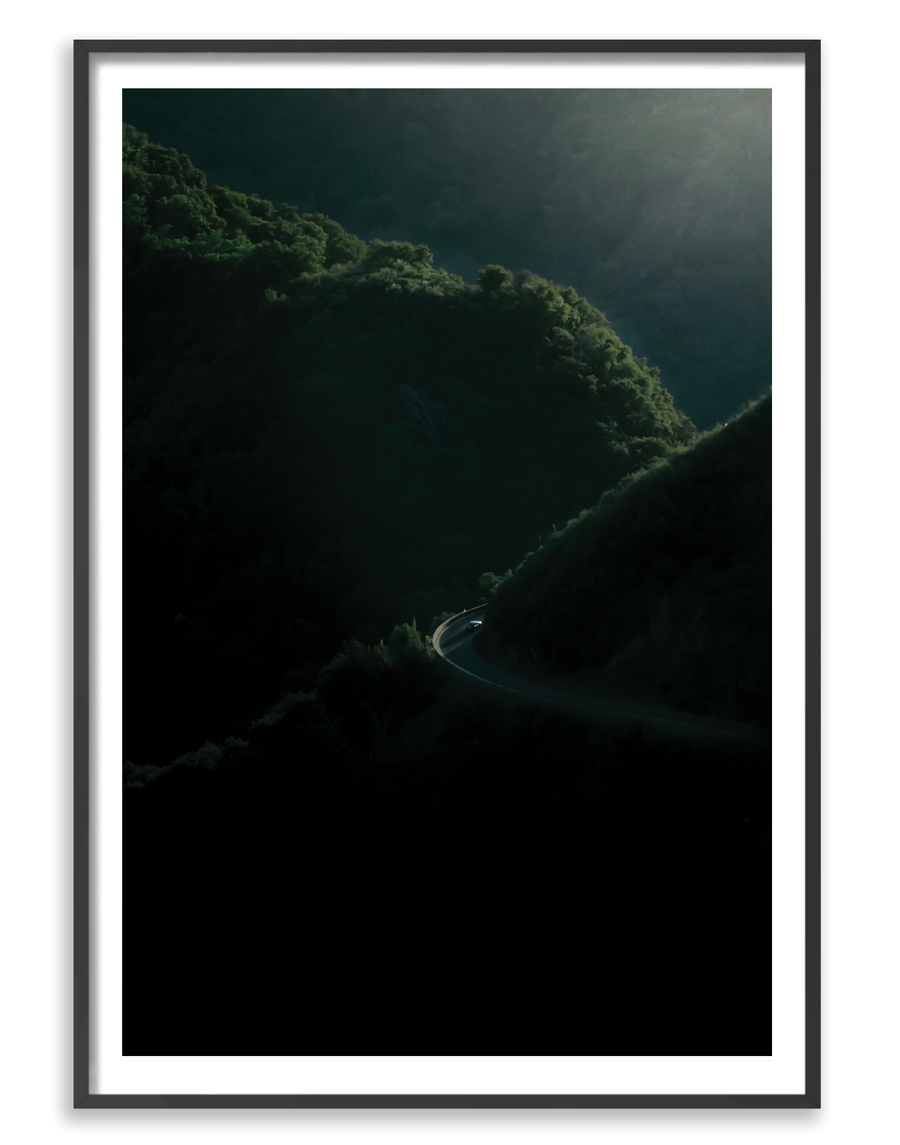 Sequoia 1