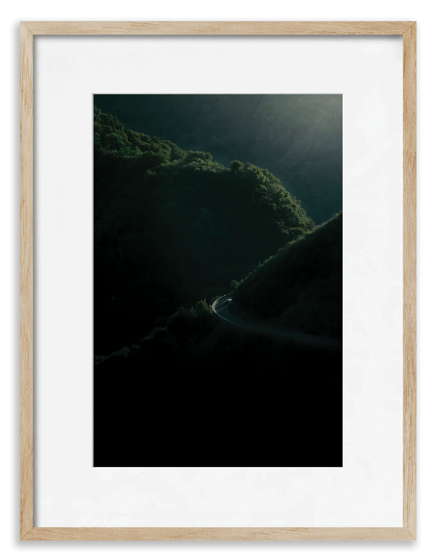 Sequoia 1