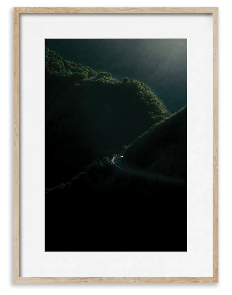 Sequoia 1