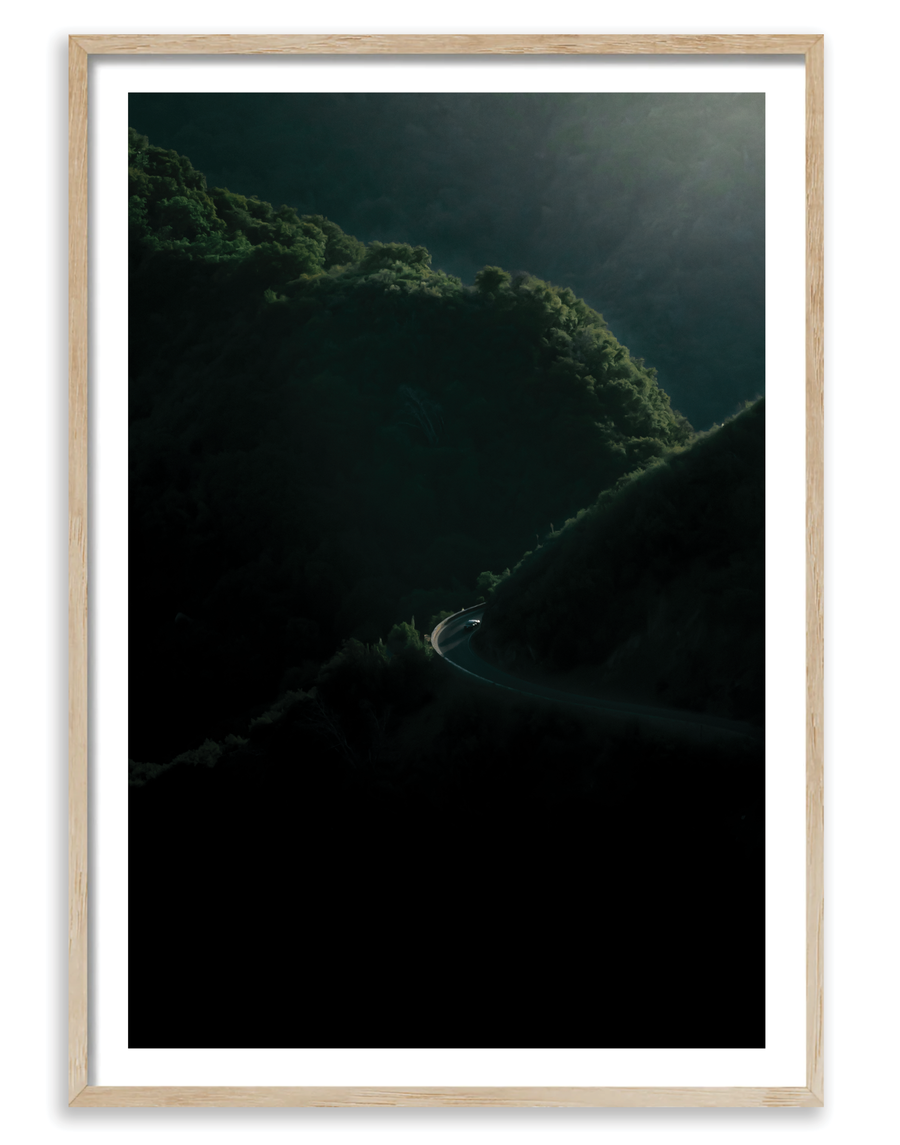 Sequoia 1