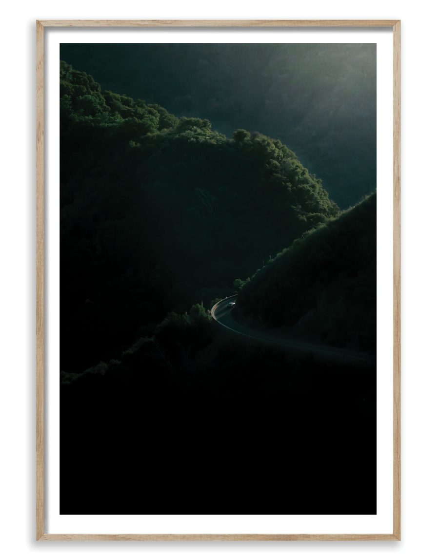 Sequoia 1