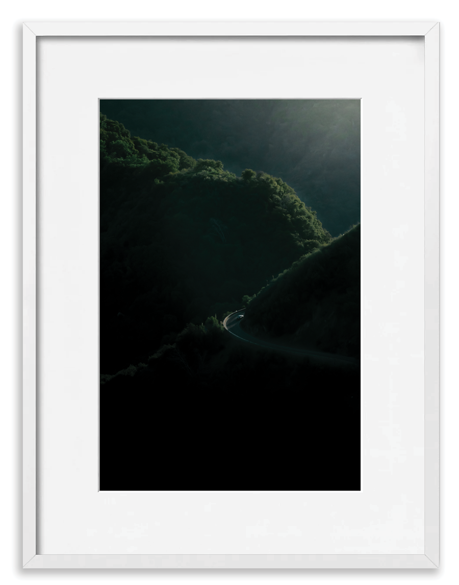 Sequoia 1