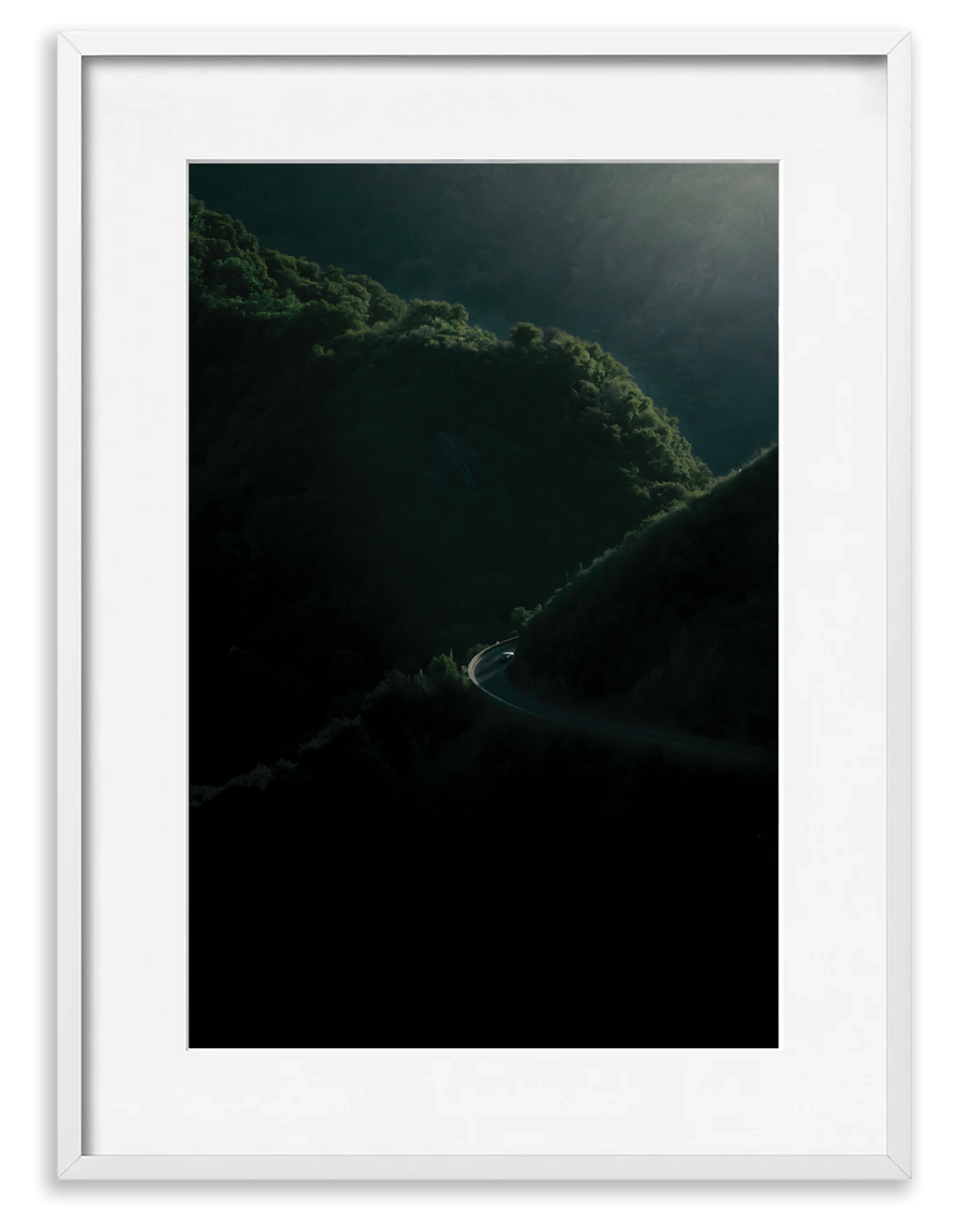 Sequoia 1