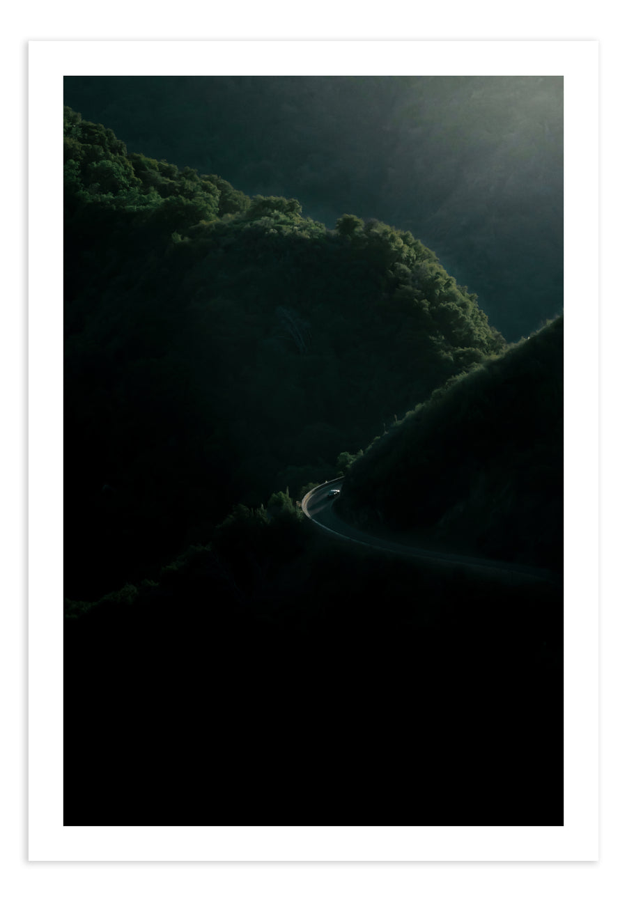 Sequoia 1