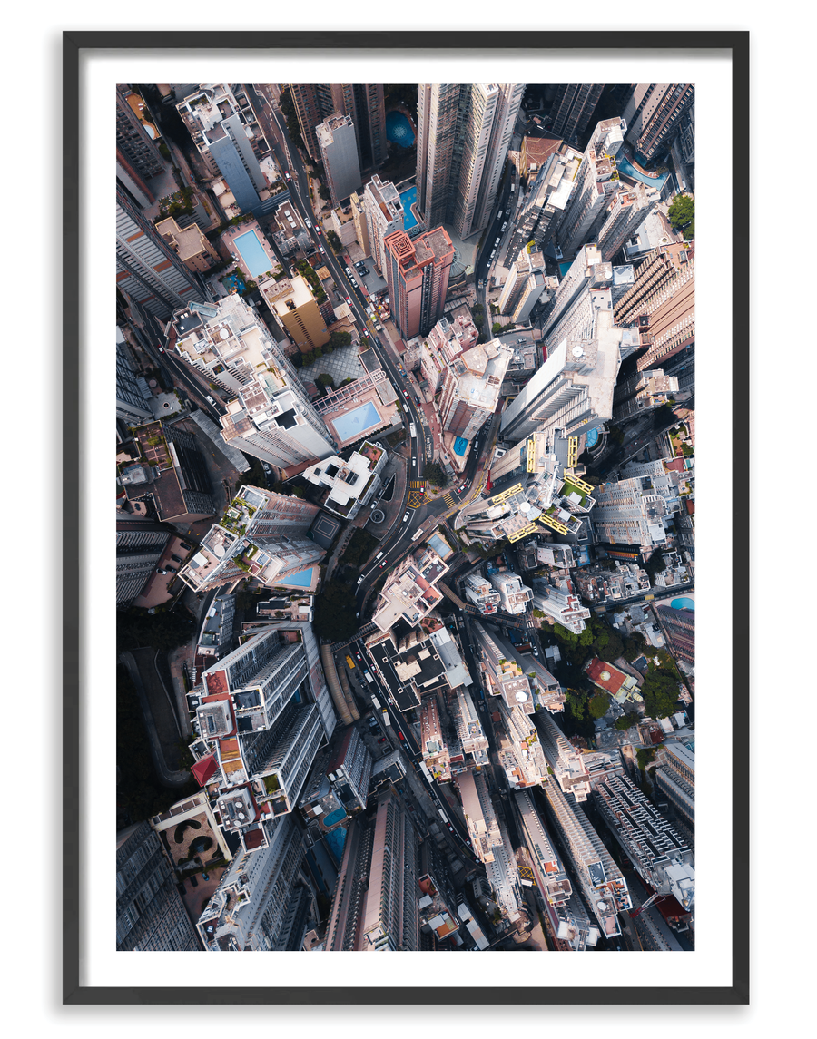 City Jungle