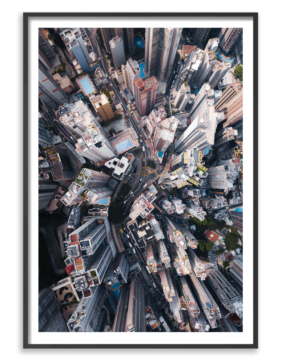 City Jungle