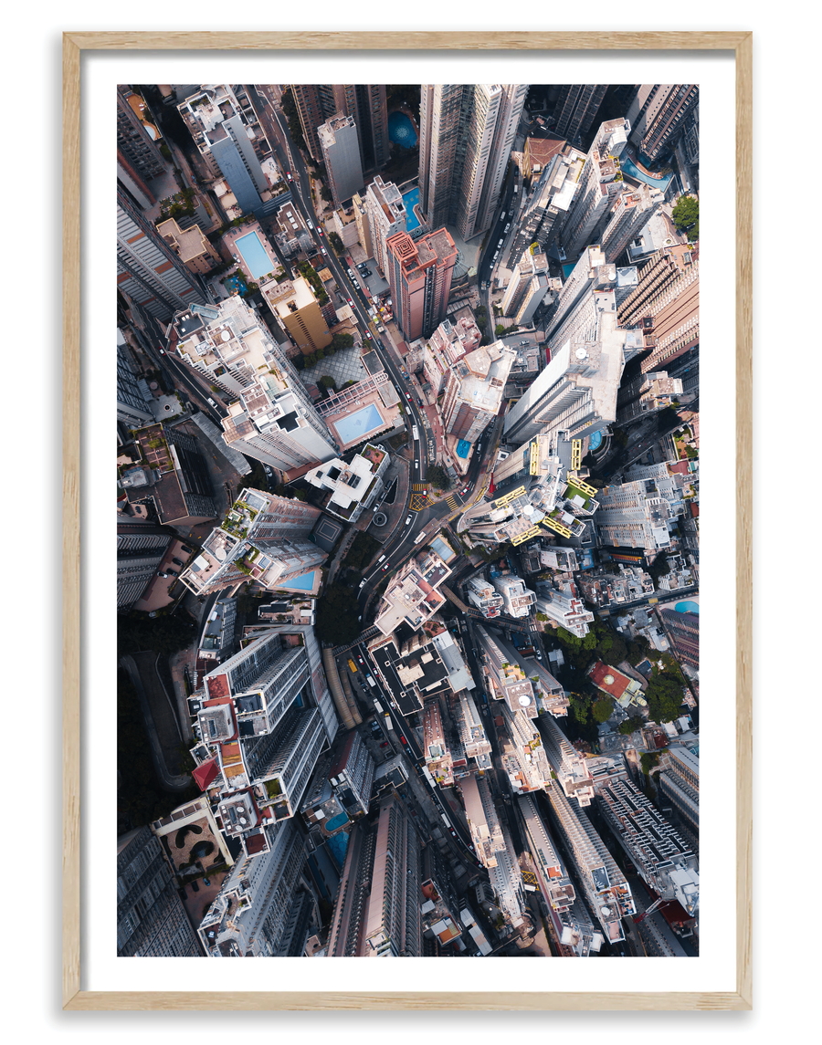 City Jungle