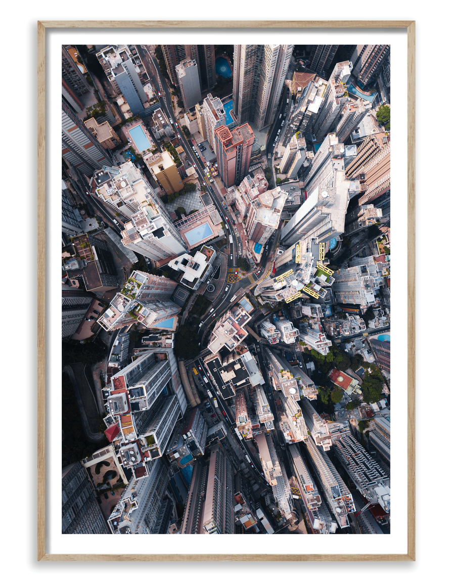 City Jungle