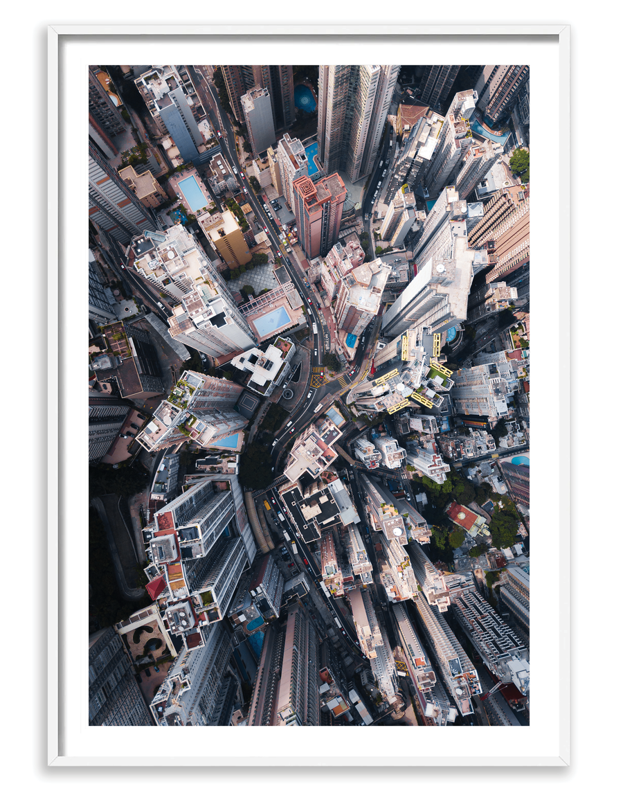 City Jungle