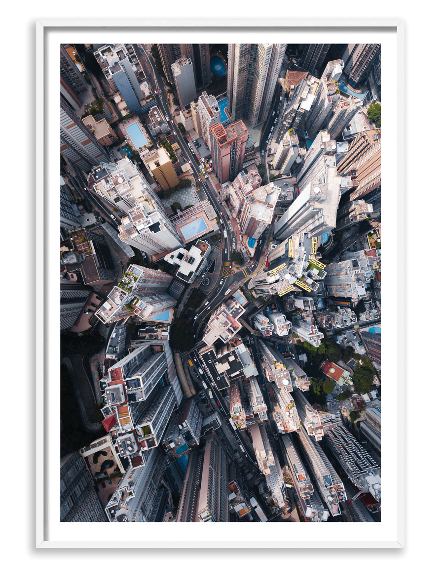 City Jungle