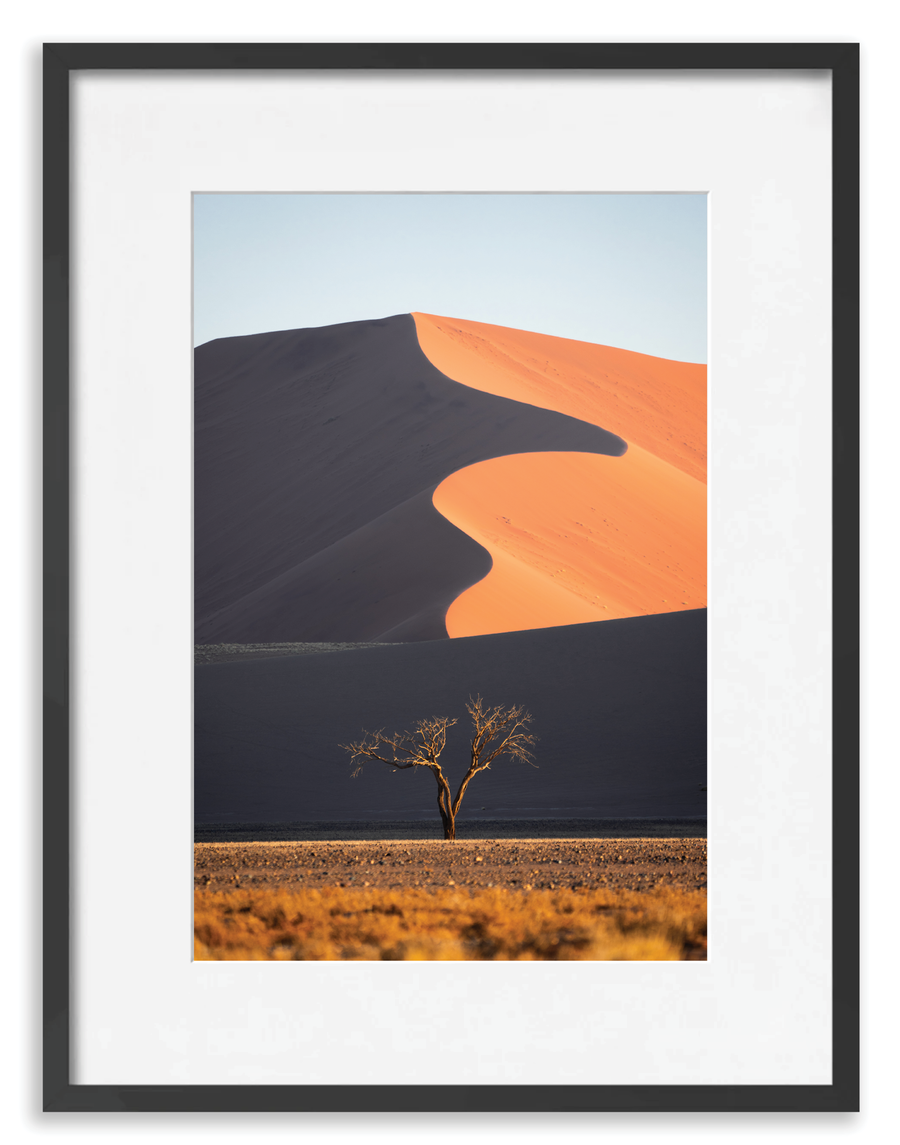 Dune Tree