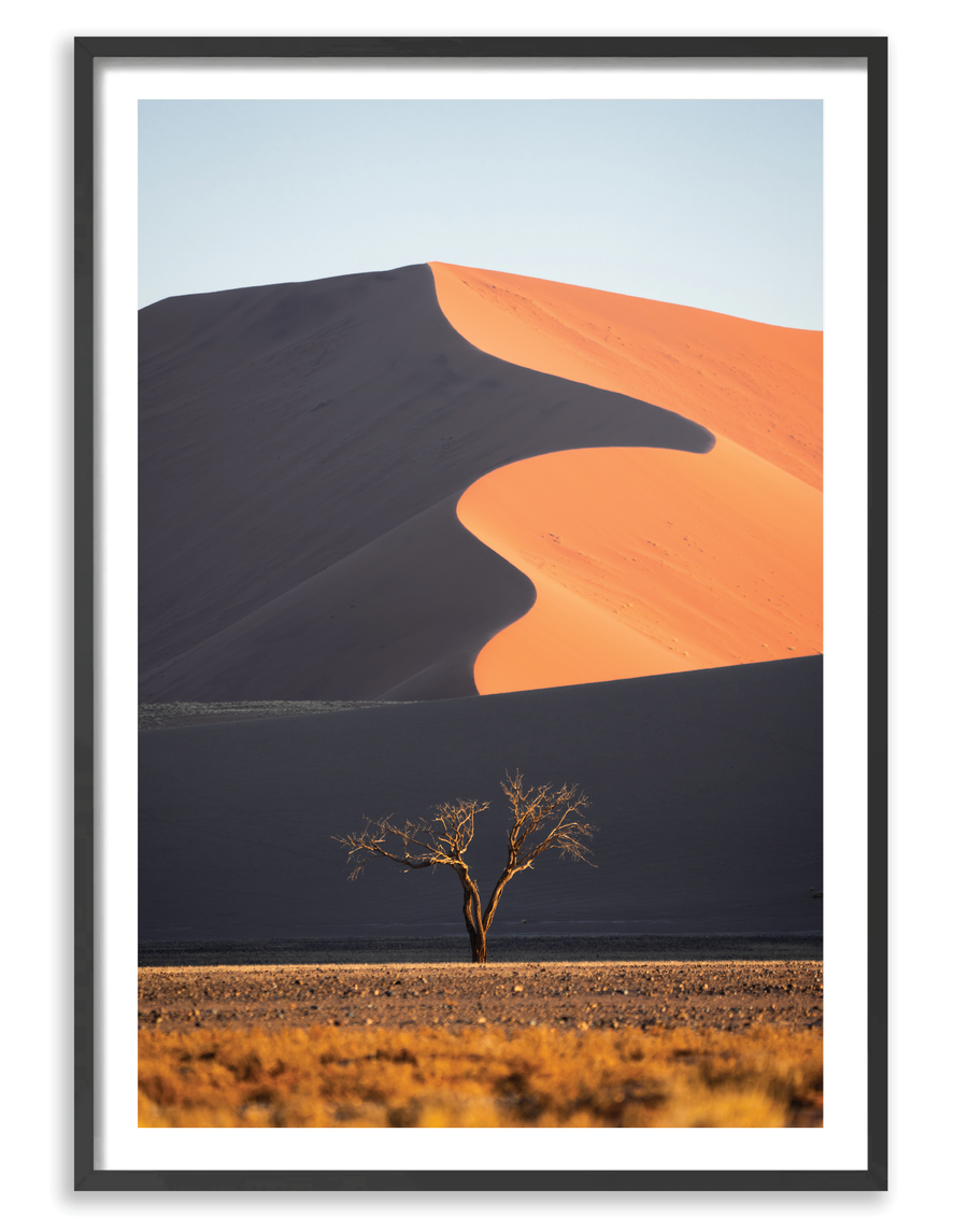 Dune Tree