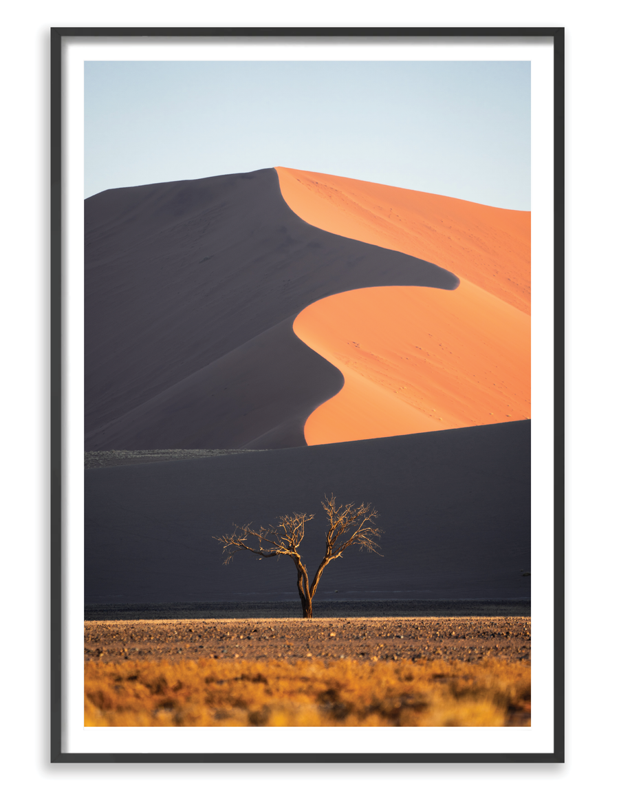 Dune Tree