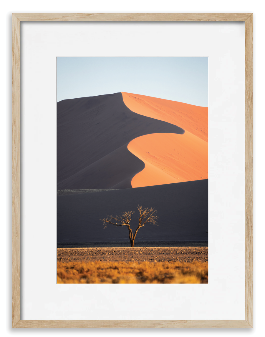 Dune Tree