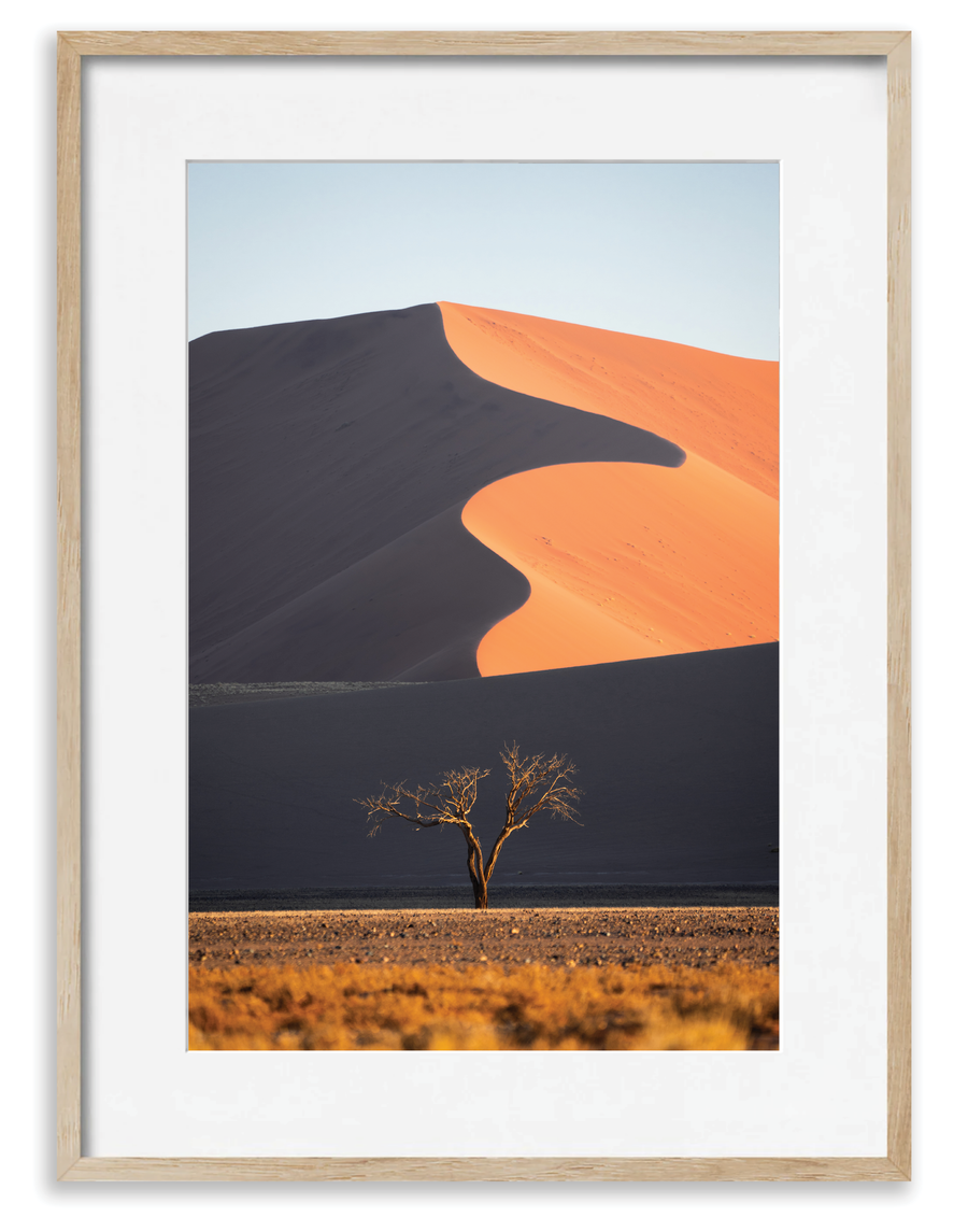 Dune Tree