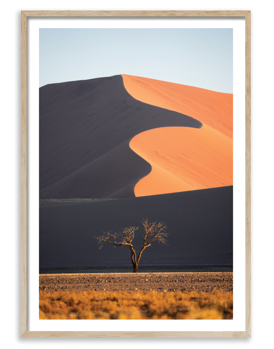 Dune Tree