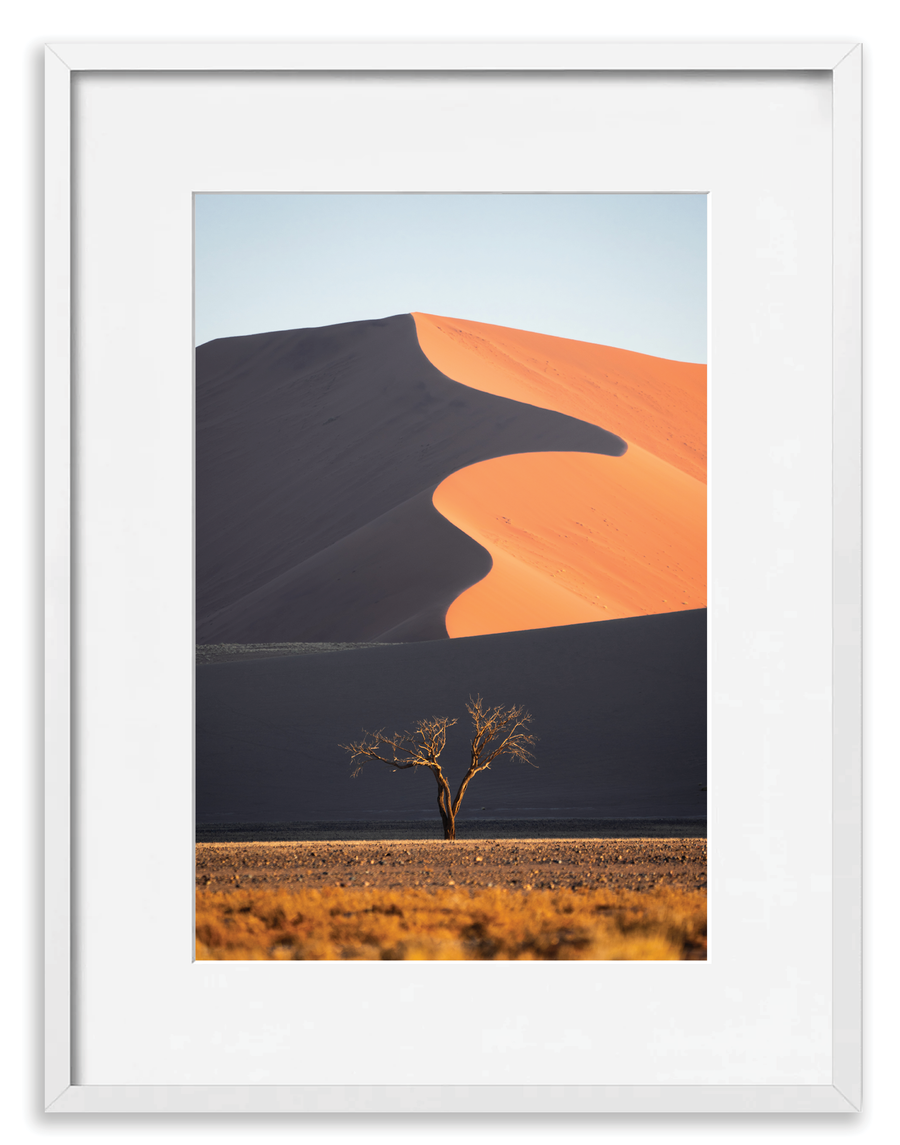 Dune Tree