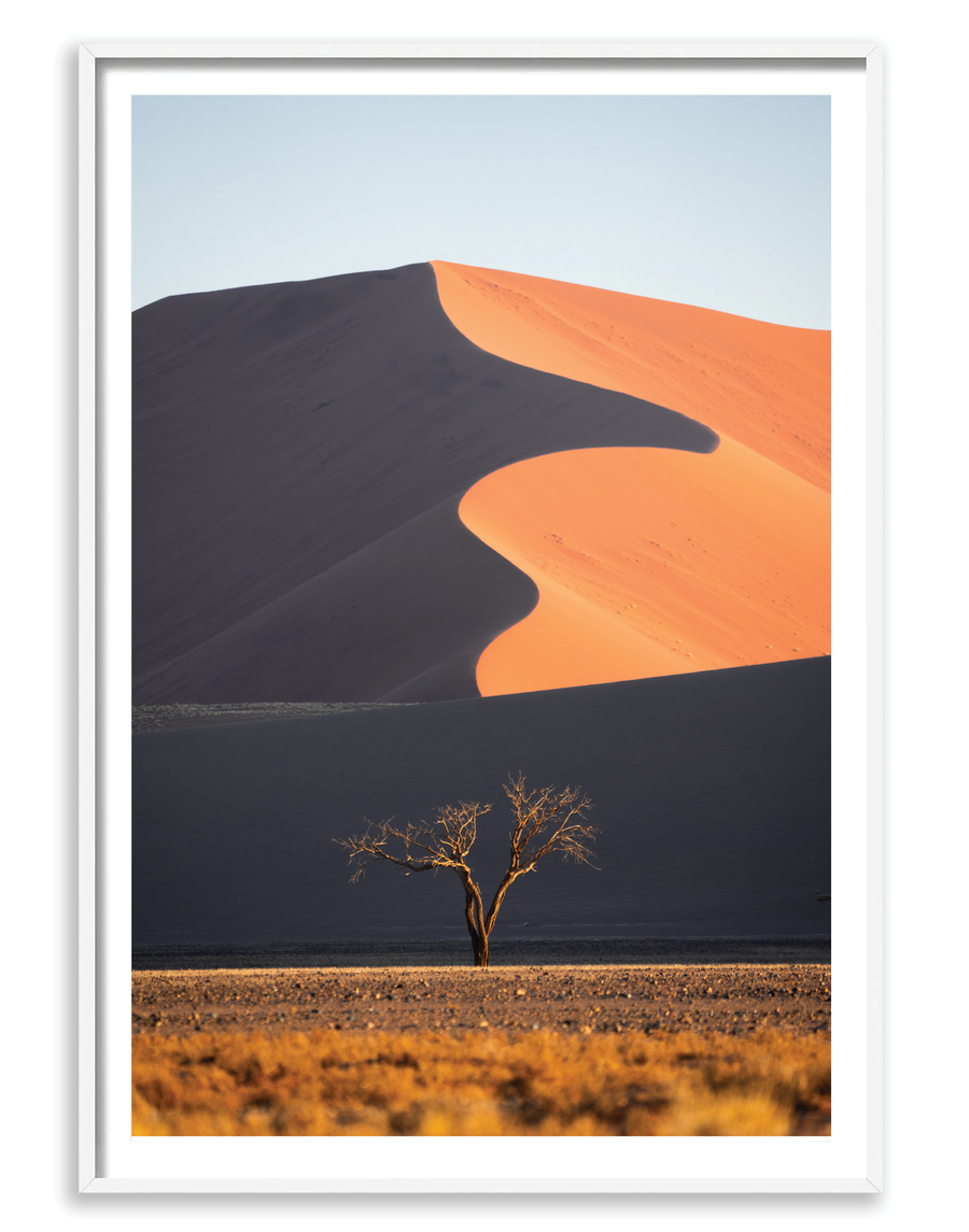 Dune Tree