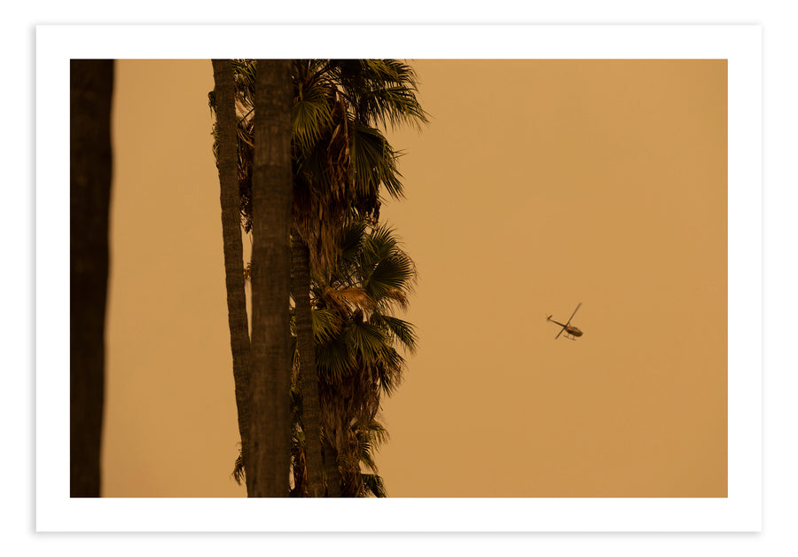 Los Angeles Fires