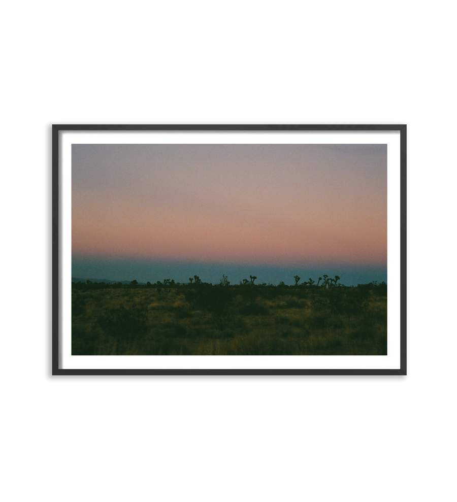 Joshua Tree Dusk