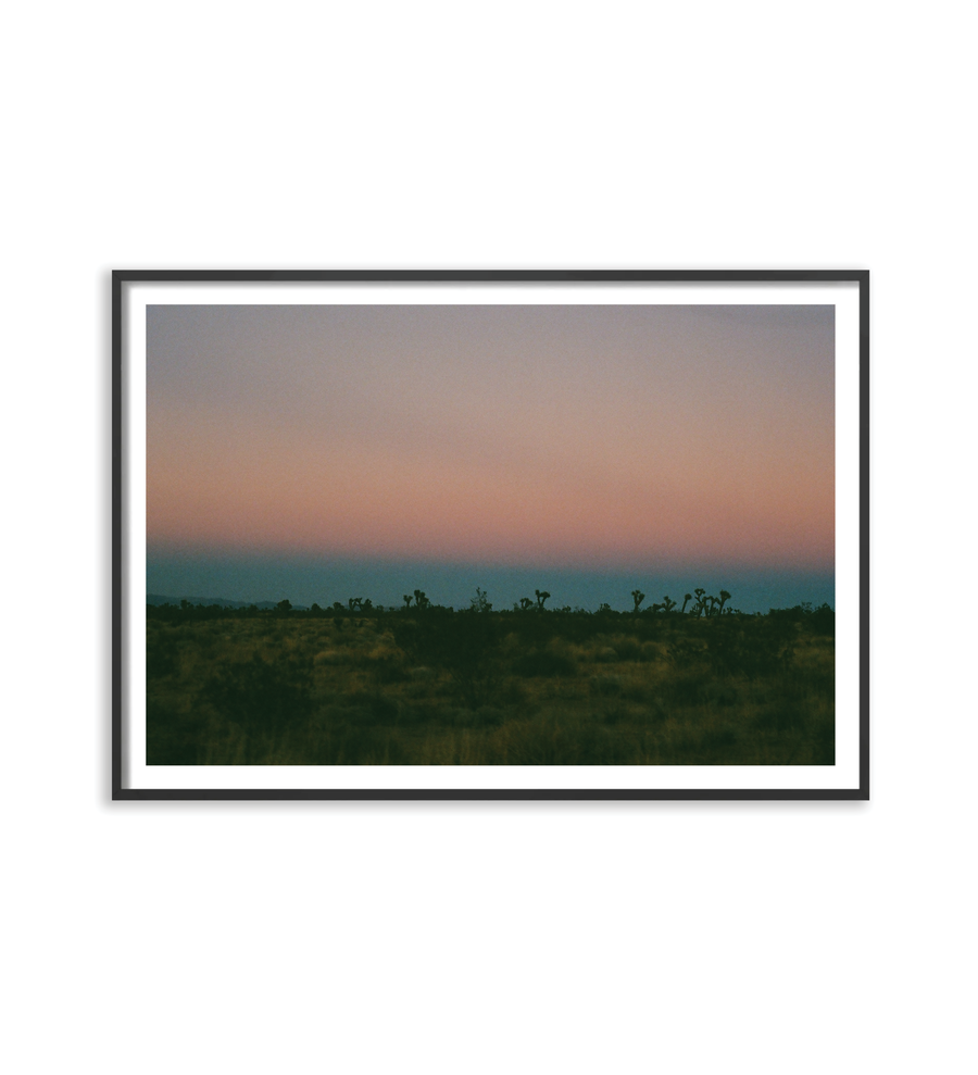 Joshua Tree Dusk