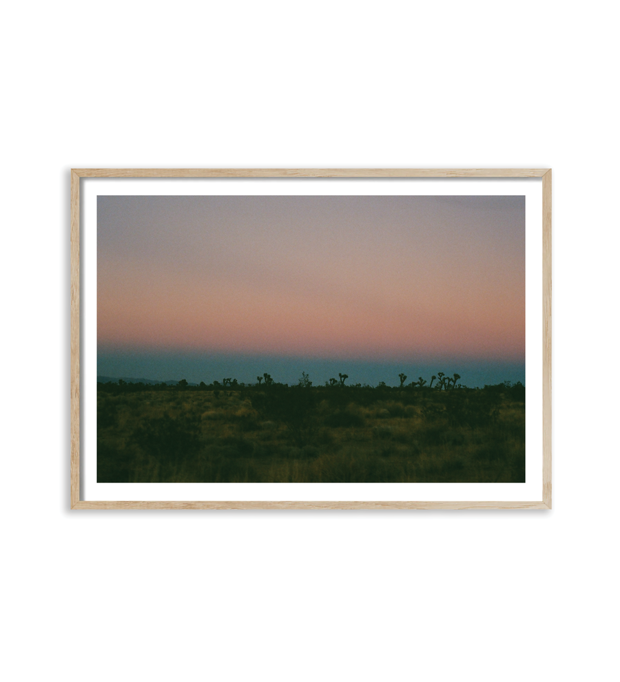 Joshua Tree Dusk