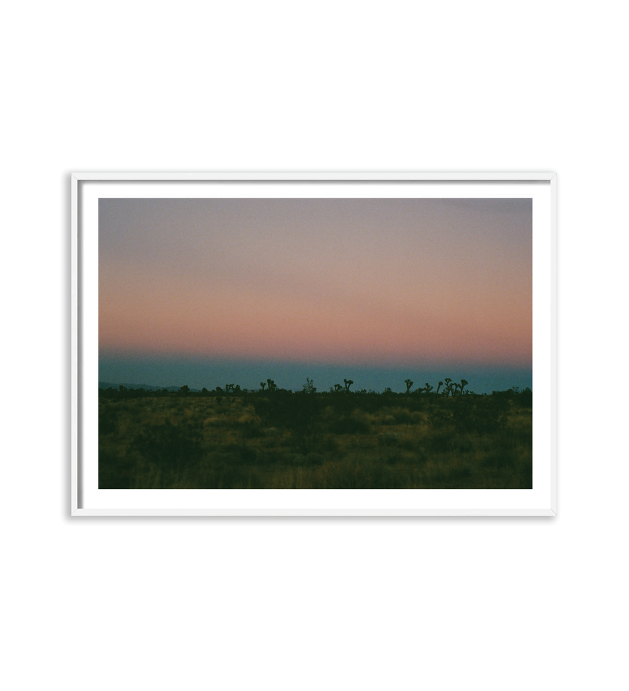 Joshua Tree Dusk