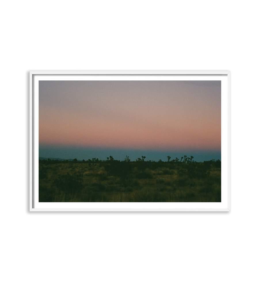 Joshua Tree Dusk